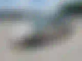 Vehicle Image- 2002 Honda Accord