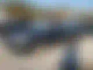 Vehicle Image- 2002 Honda Accord