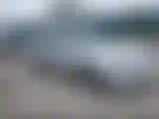 Vehicle Image- 2002 Honda Accord