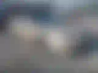 Vehicle Image- 2000 Honda Accord