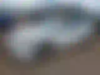 Vehicle Image- 2003 Honda Accord