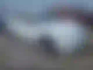 Vehicle Image- 2007 Honda Accord