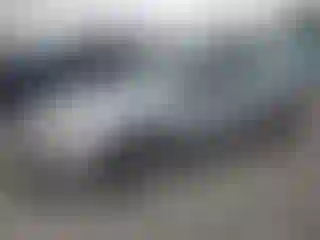 Vehicle Image- 2005 Honda Accord