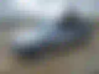 Vehicle Image- 2003 Honda Accord