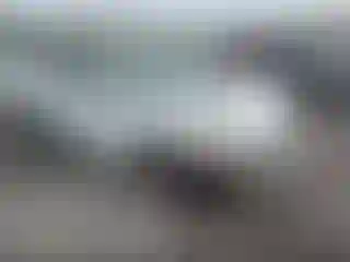 Vehicle Image- 2006 Honda Accord
