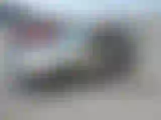 Vehicle Image- 2003 Honda Accord