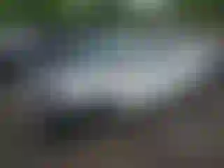 Vehicle Image- 2003 Honda Accord