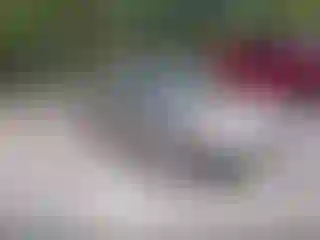 IMPORTOWO.pl