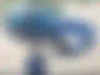 Vehicle Image- 2007 Honda Accord