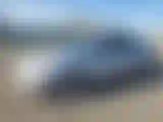 Vehicle Image- 2004 Honda Accord