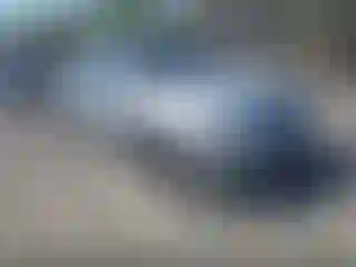 Vehicle Image- 2006 Honda Accord
