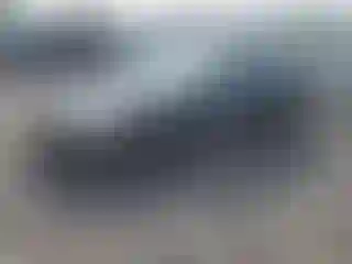 Vehicle Image- 2004 Honda Accord