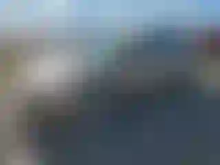 Vehicle Image- 2004 Honda Accord