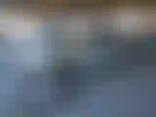 Vehicle Image- 2006 Honda Accord