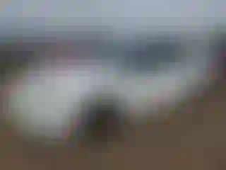 Vehicle Image- 2003 Honda Accord