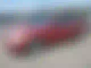 Vehicle Image- 2007 Honda Accord