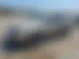 Vehicle Image- 2003 Honda Accord