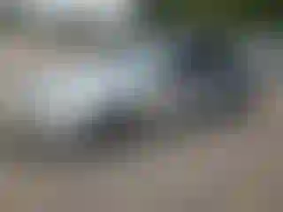 Vehicle Image- 2003 Honda Accord