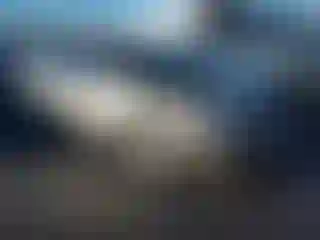 Vehicle Image- 2003 Honda Accord