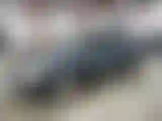 Vehicle Image- 2005 Honda Accord