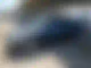 Vehicle Image- 2006 Honda Accord