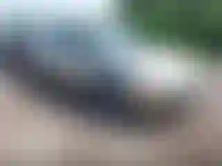 Vehicle Image- 2005 Honda Accord