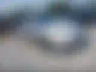 Vehicle Image- 2007 Honda Accord