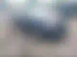 Vehicle Image- 2005 Honda Accord