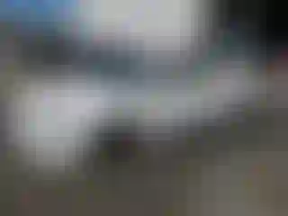 Vehicle Image- 2006 Honda Accord