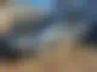 Vehicle Image- 2003 Honda Accord