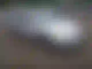 Vehicle Image- 2004 Honda Accord