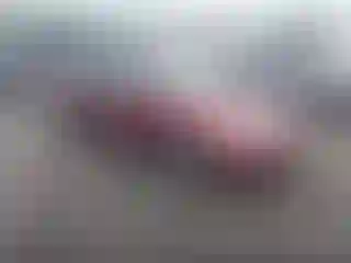 Vehicle Image- 2003 Honda Accord