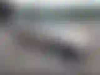 Vehicle Image- 2003 Honda Accord