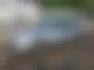 Vehicle Image- 2003 Honda Accord