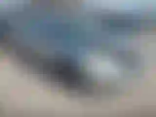 Vehicle Image- 2006 Honda Accord