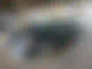 Vehicle Image- 2007 Honda Accord