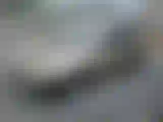 Vehicle Image- 2006 Honda Accord
