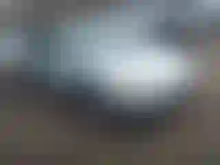 Vehicle Image- 2007 Honda Accord