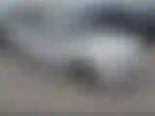 Vehicle Image- 2007 Honda Accord