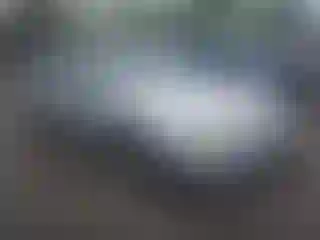Vehicle Image- 2005 Honda Accord