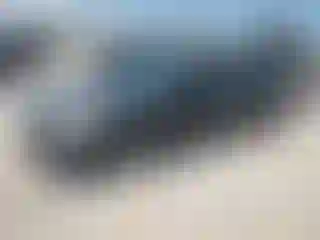 Vehicle Image- 2005 Honda Accord