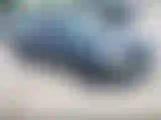 Vehicle Image- 2007 Honda Accord