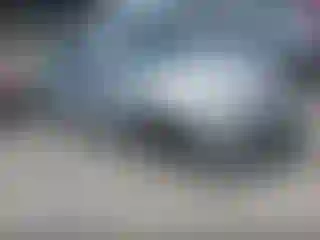 Vehicle Image- 2005 Honda Accord