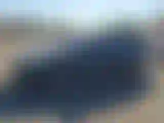 Vehicle Image- 2004 Honda Accord