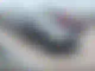 Vehicle Image- 2007 Honda Accord