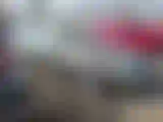 Vehicle Image- 2006 Honda Accord