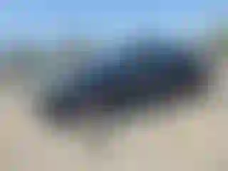Vehicle Image- 2004 Honda Accord