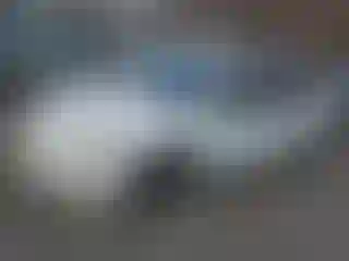 Vehicle Image- 2007 Honda Accord