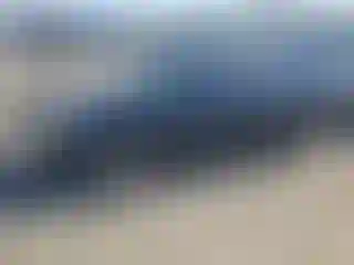 Vehicle Image- 2007 Honda Accord
