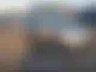 Vehicle Image- 2007 Honda Accord